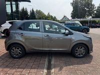 Neu Kia Picanto Vision 63 PS (46 kW) 2025 Grau Kleinwagen
