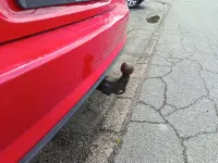 Gebraucht VW Golf VII Trendline 116 PS (85 kW) 2019 Rot Kombi