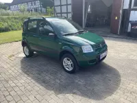 Gebraucht Fiat Panda 4x4 Climbing 69 PS (50 kW) 2006 Grün Kleinwagen
