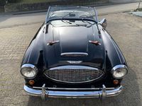 Gebraucht Austin Healey 3000 MK I 124 PS (91 kW) 1960 Schwarz Cabrio