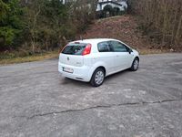 Gebraucht Fiat Punto Active 65 PS (47 kW) 2009 Weiß Limousine