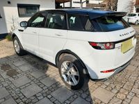 Gebraucht Land Rover Range Rover evoque Dynamic 190 PS (139 kW) 2012 Weiß SUV
