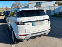 Gebraucht Land Rover Range Rover 180 PS (132 kW) 2017 Weiß SUV