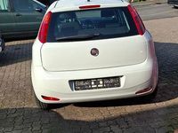 Gebraucht Fiat Punto Basis 69 PS (50 kW) 2017 Weiß Kleinwagen