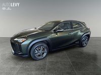 Gebraucht Lexus UX 300e Luxury Line 56 kW (77 PS) 2021 Grün SUV