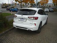 Gebraucht Ford Kuga ST-Line X 152 PS (111 kW) 2022 Weiß SUV