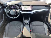 Gebraucht Skoda Octavia Selection 150 PS (110 kW) 2025 Raceblau metallic Kombi