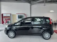 Gebraucht Fiat Panda Icon 65 PS (47 kW) 2026 Schwarz Kleinwagen