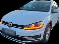 Gebraucht VW Golf Alltrack 184 PS (135 kW) 2019 Weiß Kombi