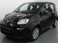 Gebraucht Fiat Panda 69 PS (50 kW) 2022 Schwarz Kleinwagen
