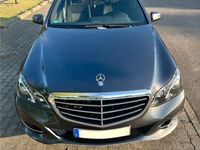 gebraucht Mercedes E200 E-Klasse EleganceBlueTec Daimler AMG Felgen