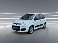 Gebraucht Fiat Panda Pop 69 PS (50 kW) 2015 Weiß Kleinwagen
