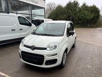 Gebraucht Fiat Panda Pop 69 PS (50 kW) 2019 Weiß Kleinwagen