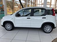 Neu Fiat Panda 69 PS (50 kW) 2025 Weiß Limousine