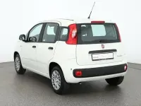 Neu Fiat Panda Connect 71 PS (52 kW) 2025 Gelatoweiss Kleinwagen
