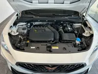 Gebraucht Cupra Formentor 150 PS (110 kW) 2023 Weiß SUV