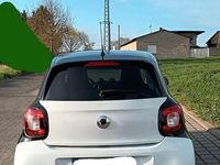 Gebraucht Smart ForFour 71 PS (52 kW) 2018 Weiß Kleinwagen