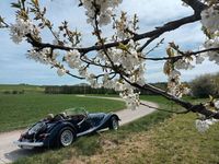 Gebraucht Morgan Plus 8 189 PS (139 kW) 1989 Blau Cabrio