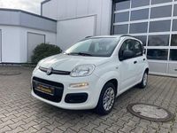 Gebraucht Fiat Panda 69 PS (50 kW) 2014 Weiß Kleinwagen