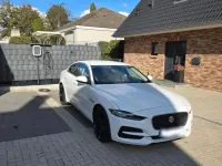 Gebraucht Jaguar XE SE 250 PS (183 kW) 2020 Weiß Limousine