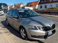 Gebraucht Skoda Octavia 115 PS (84 kW) 2019 Andere farben Kombi