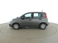 gebraucht Fiat Panda 1.0 Mild-Hybrid, Benzin, 11.990 €