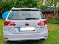 Gebraucht VW Golf Alltrack 150 PS (110 kW) 2017 Kombi