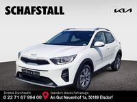 Neu Kia Stonic Vision 101 PS (74 kW) 2025 Weiss (clear white) SUV