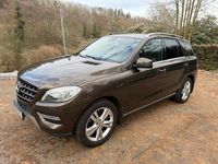 Gebraucht Mercedes ML250 204 PS (150 kW) 2013 Braun SUV