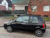 Gebraucht VW Lupo 50 PS (36 kW) 2003 Schwarz Kleinwagen