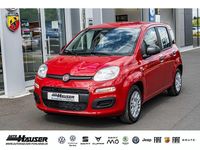 Gebraucht Fiat Panda 69 PS (50 kW) 2025 Rot Limousine