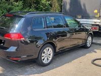 gebraucht VW Golf Alltrack 1.6 TDI 4Motion BlueMotion Technol.