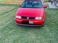 Gebraucht VW Polo 50 PS (36 kW) 1999 Limousine