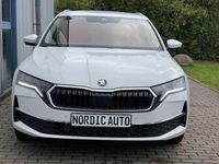 Neu Skoda Octavia Selection 116 PS (85 kW) 2025 Candyweiss Kombi