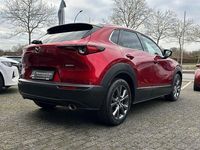 Gebraucht Mazda CX-30 Selection 186 PS (136 kW) 2021 Rot SUV