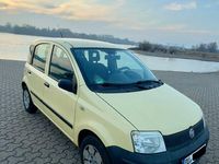 Gebraucht Fiat Panda 54 PS (39 kW) 2009 Gelb Kleinwagen