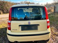 Gebraucht Fiat Panda 60 PS (44 kW) 2009 Gelb Kleinwagen