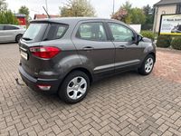 Gebraucht Ford Ecosport Trend 125 PS (91 kW) 2018 Grau SUV