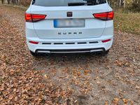 Second-hand Cupra Ateca 300 CP (220 kW) 2022 Alb SUV