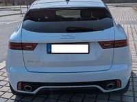Gebraucht Jaguar E-Pace R-Dynamic 200 PS (147 kW) 2020 Weiß SUV