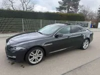 Gebraucht Jaguar XJ Portfolio 300 PS (220 kW) 2017 Grau Limousine