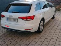 Gebraucht Audi A4 Design 150 PS (110 kW) 2018 Weiß Kombi