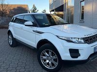 Gebraucht Land Rover Range Rover evoque 150 PS (110 kW) 2014 Weiß Coupé