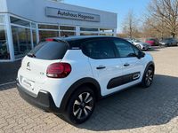 Gebraucht Citroën C3 PureTech 82 PS (60 kW) 2023 Weiß Kleinwagen