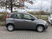 Gebraucht Fiat Panda Easy 69 PS (50 kW) 2017 Colore esterno Kleinwagen