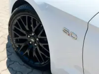 Gebraucht Ford Mustang GT Fastback 450 PS (330 kW) 2019 Andere Coupé