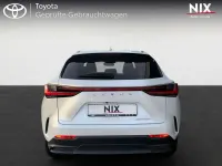Gebraucht Lexus NX450h+ Business Edition 309 PS (227 kW) 2024 Titaniumweiß SUV