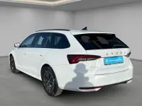 Occasion Skoda Octavia Selection 150 ch (110 kW) 2025 Blanc Break
