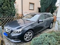 Gebraucht Mercedes E200 Avantgarde 184 PS (135 kW) 2014 Grau Kombi