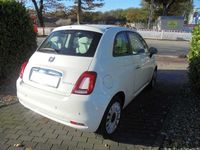 Gebraucht Fiat 500 69 PS (50 kW) 2020 Weiß Limousine